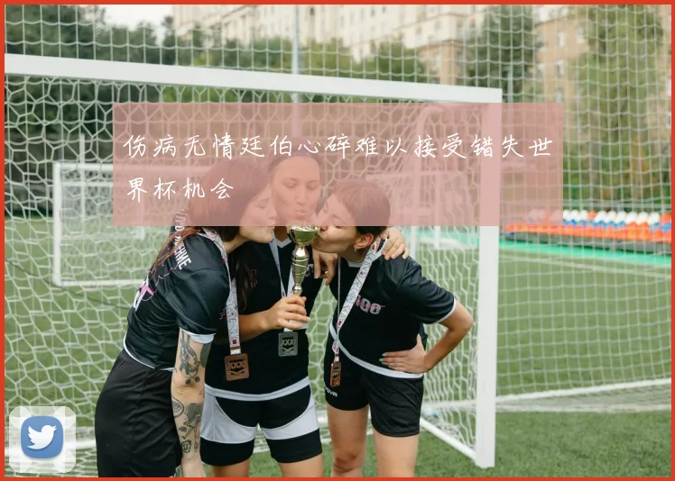 伤病无情廷伯心碎难以接受错失世界杯机会